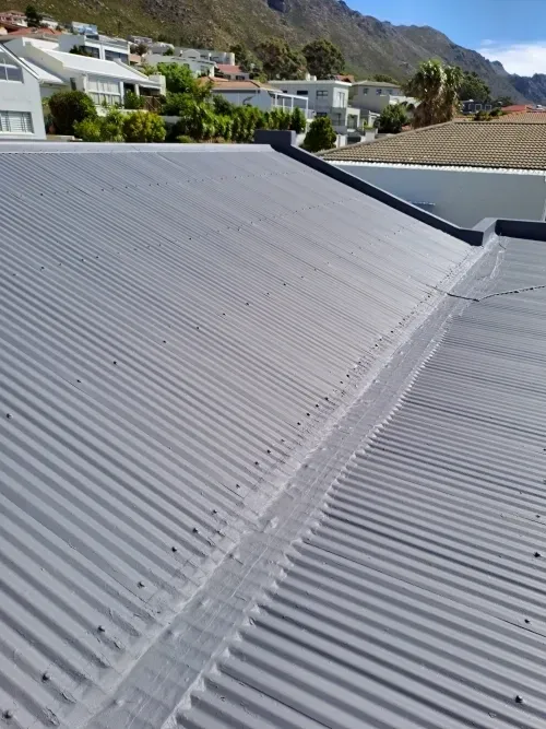 Roof Repair in Gordon's Bay