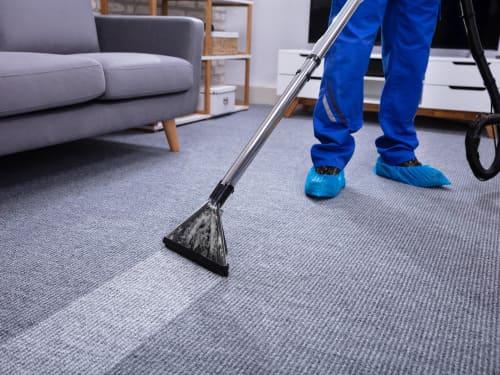 Bloomfield Carpet Shampooing