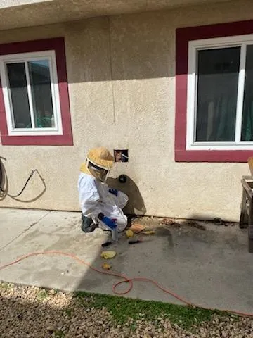 Cockroach Control in