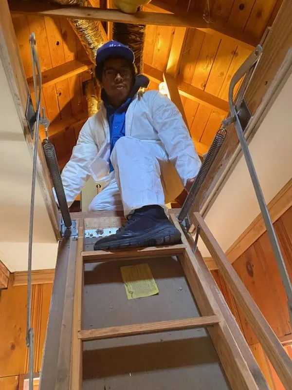 General Pest Control in 