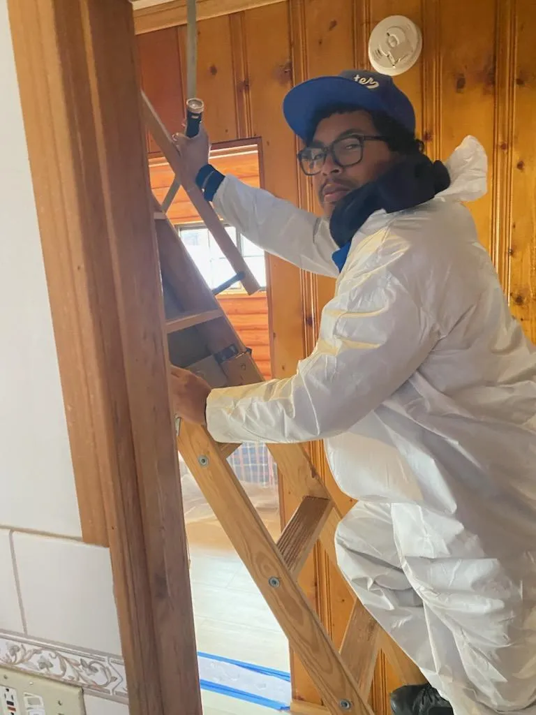 General Pest Control in 