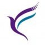 Cognitive Engineering Psychology Logo