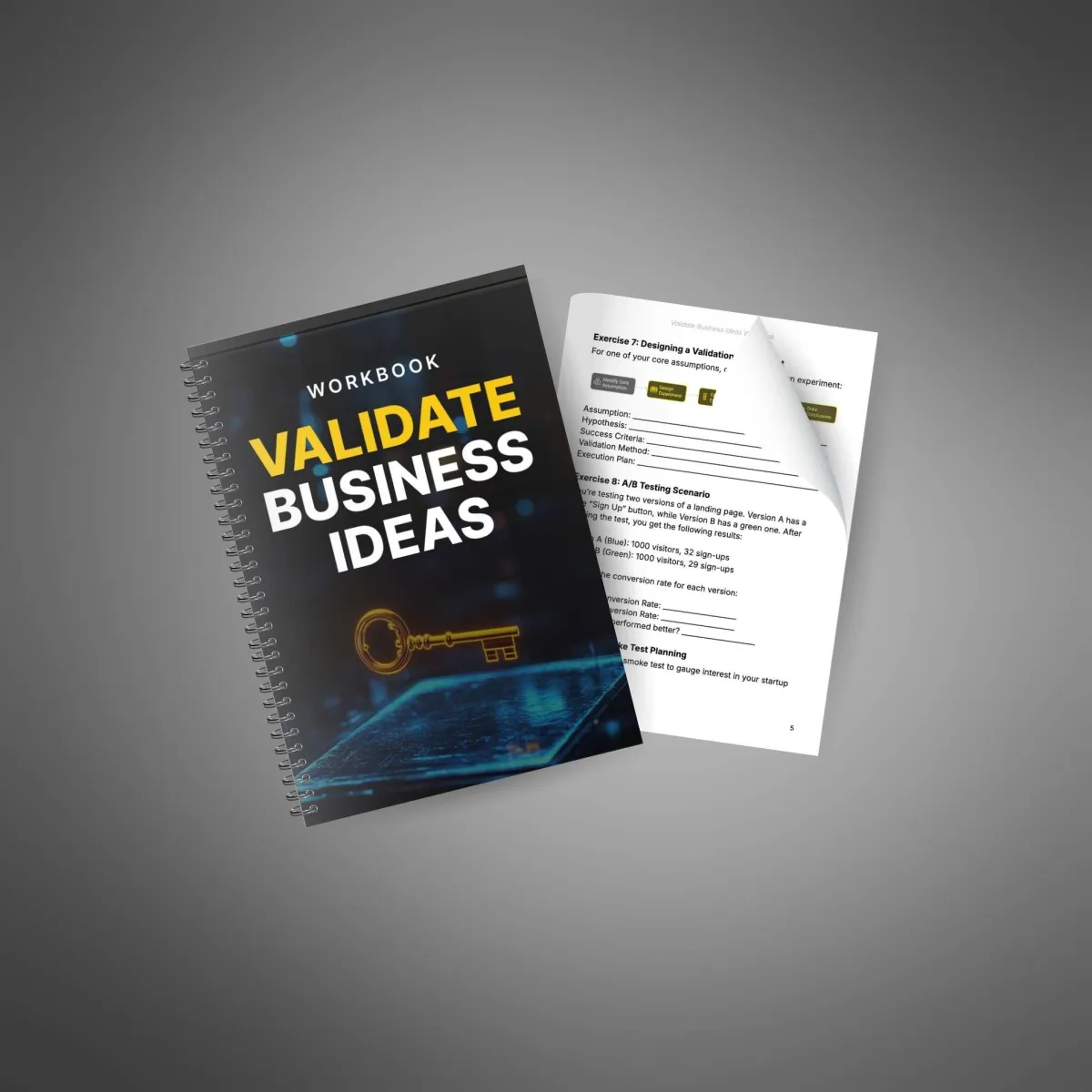 Validate Business Ideas Workbook