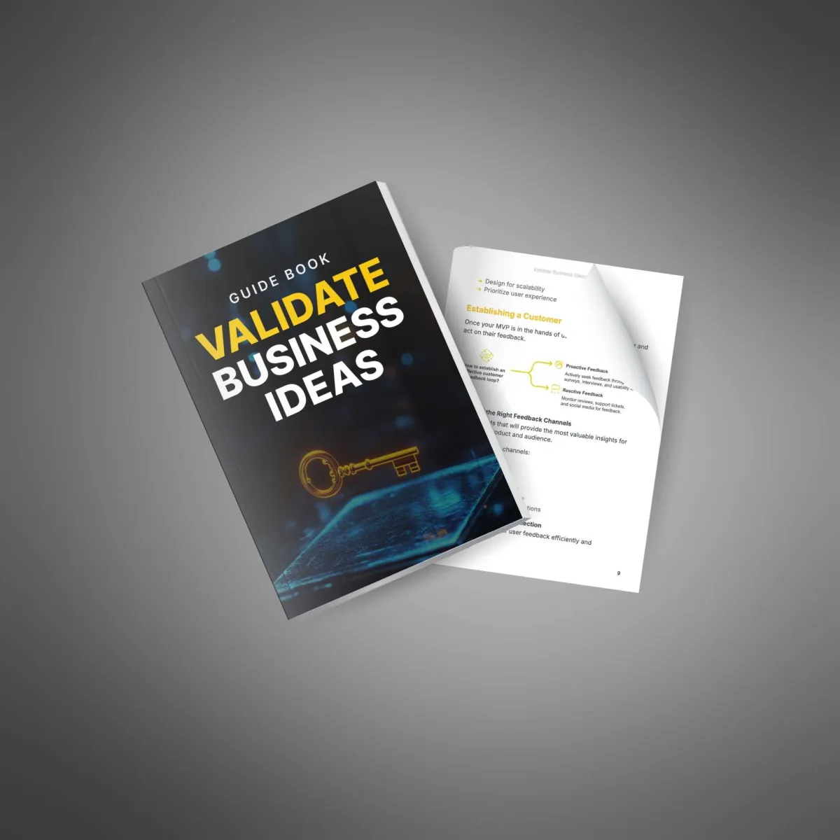 Validate Business Ideas Guide