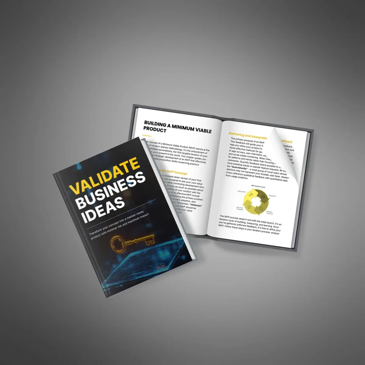 Validate Business Ideas eBook