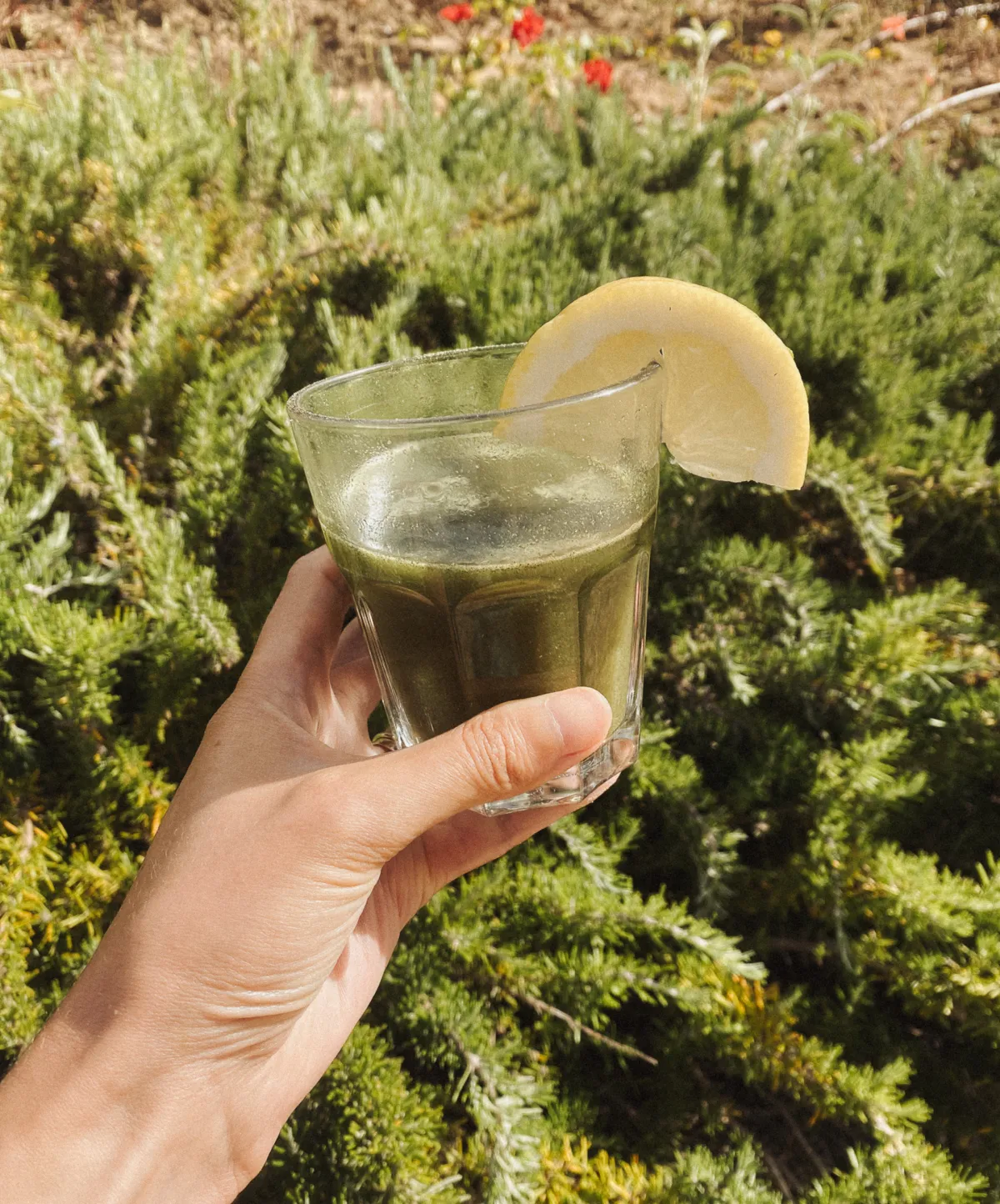 image of bower botanicals greens which are used during the retreats