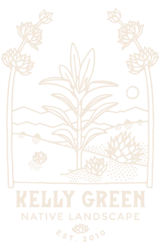 Kelly Green logo that is hand drawn with native southern California plants over a video of still images showcasing all of the beautiful succulents, palm tres and other California native plants and landscape.