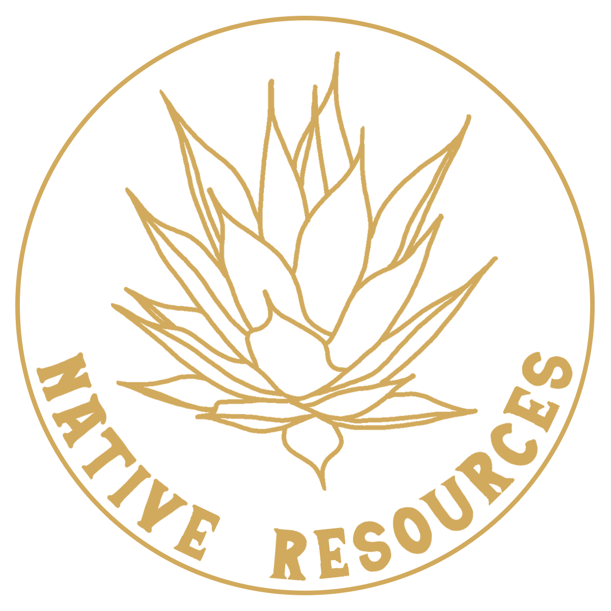 Native Agave hand drawn icon that links to the Native Resources sub-page on the Kelly Green Native Landscape website