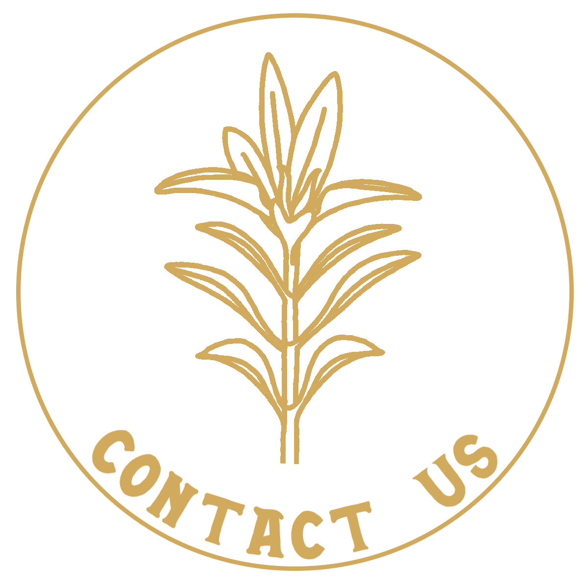 Hand drawn native plant linking to the Kelly Green Native Landscape Contact Us page 