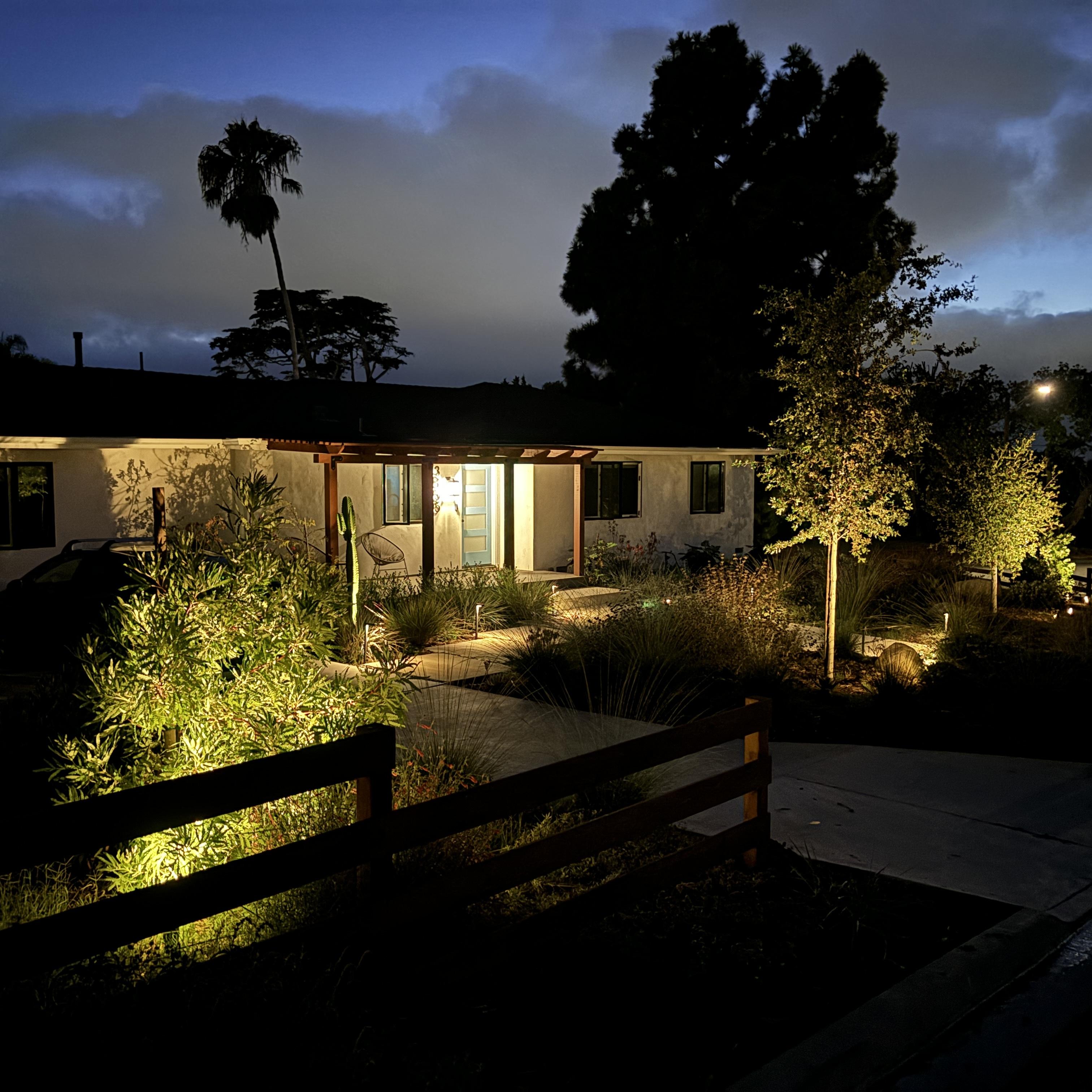 Illuminated native garden path and trees at night with warm landscape lighting.