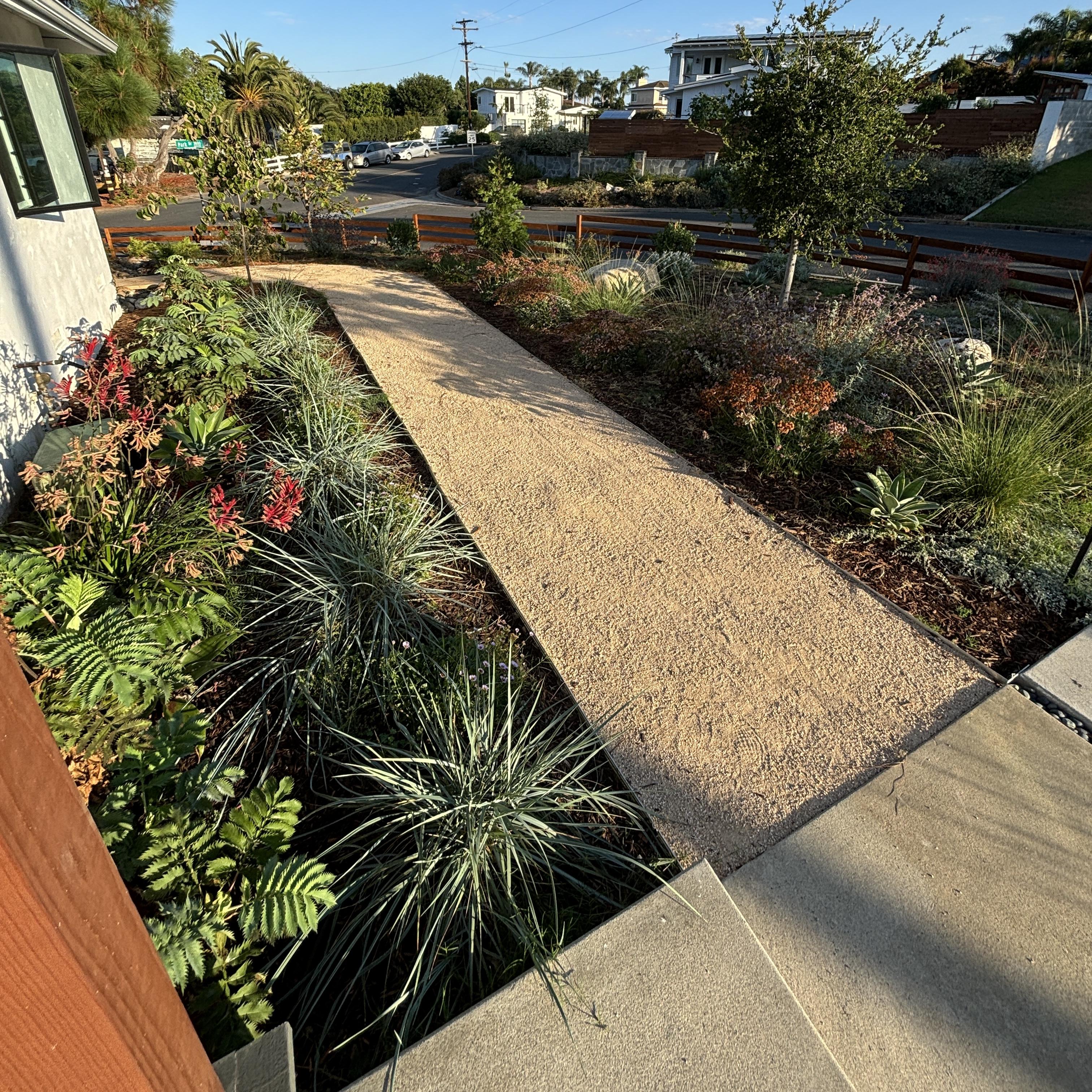 Winding tan gravel path through a dense native plant garden.