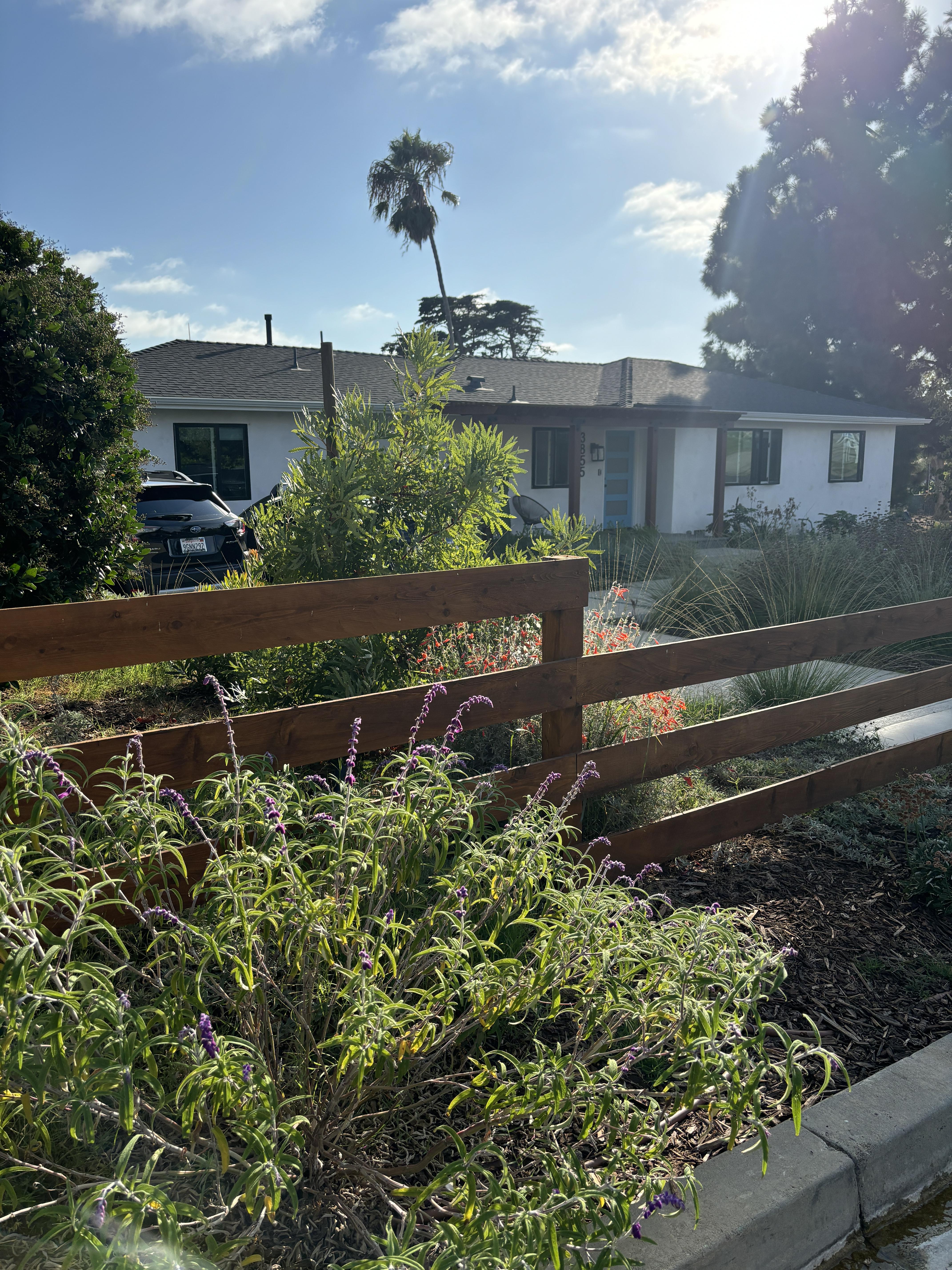 Wooden fence bordered by a mix of native trees, shrubs, and grasses.
