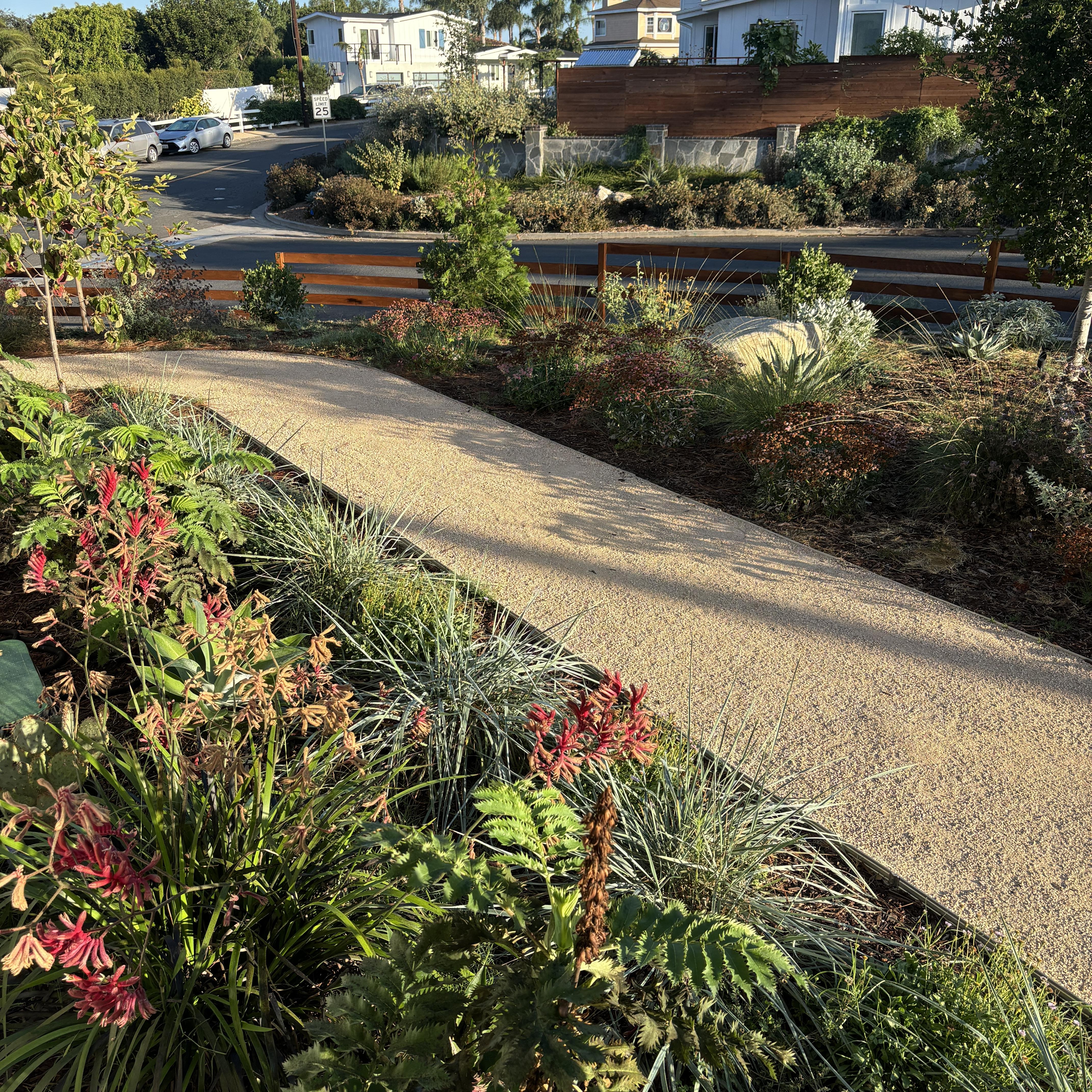 Looking down a gravel path bordered by colorful native plants.