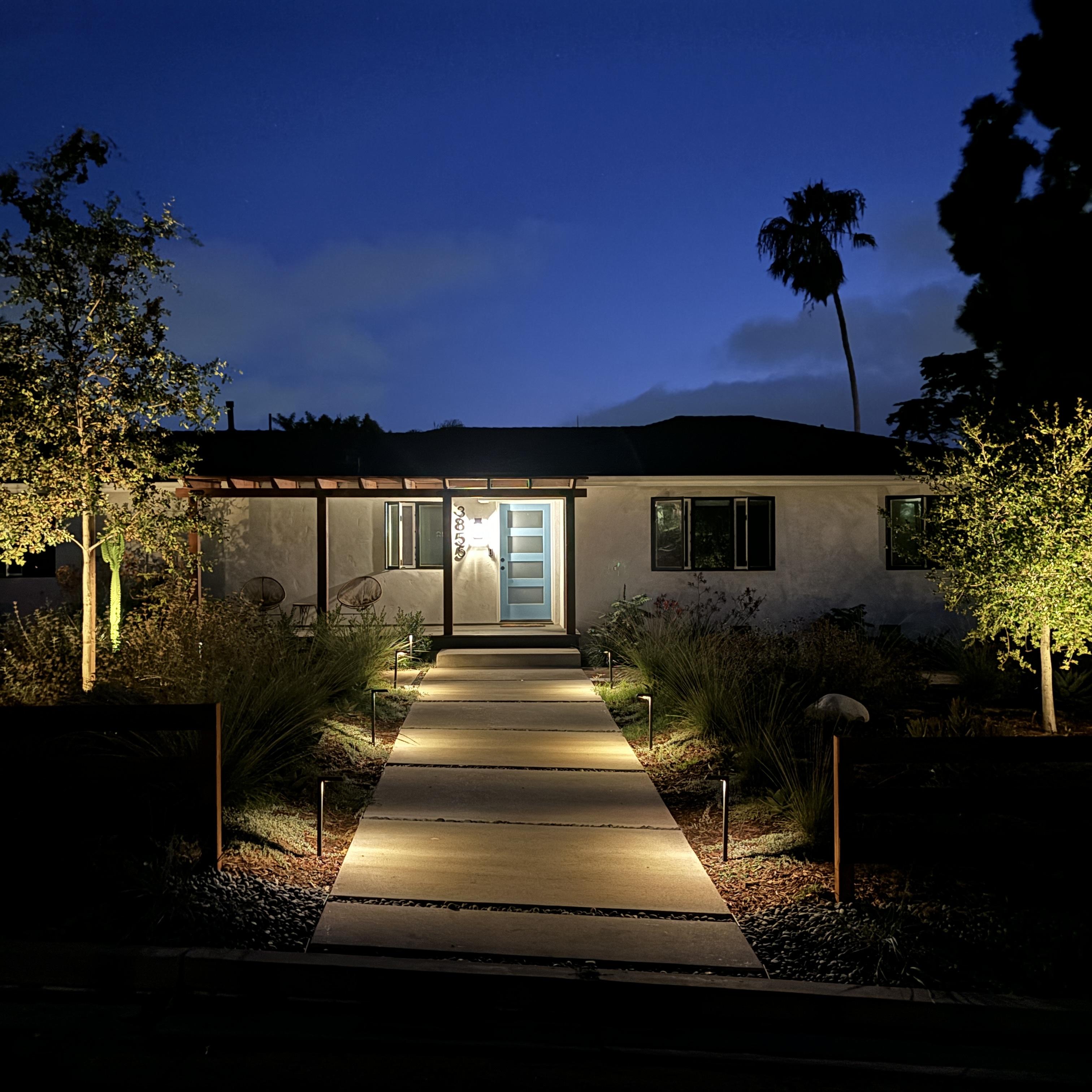 Illuminated front walkway and native garden leading to a modern home.
