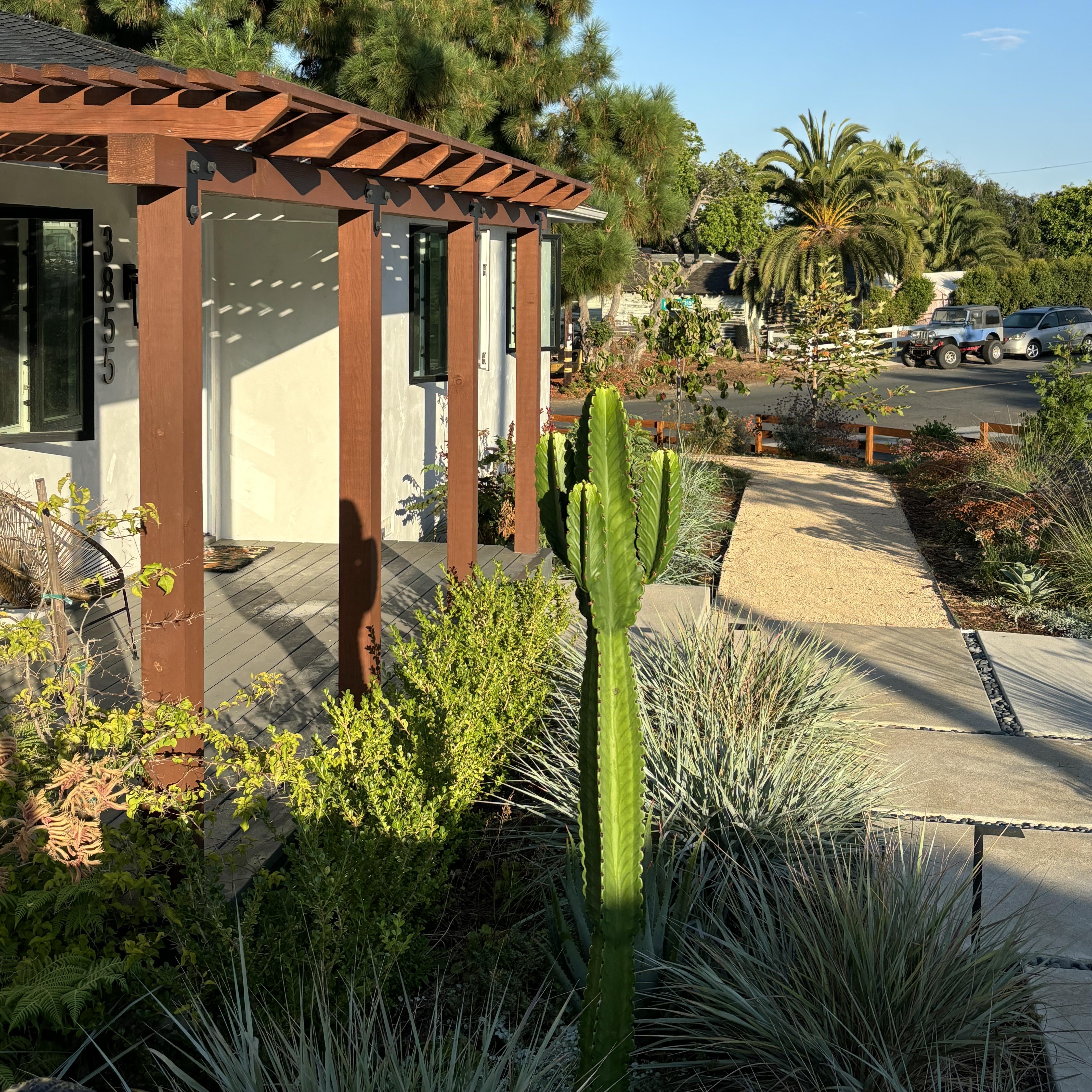 Wooden pergola overlooking a landscape with native plants and a cactus.