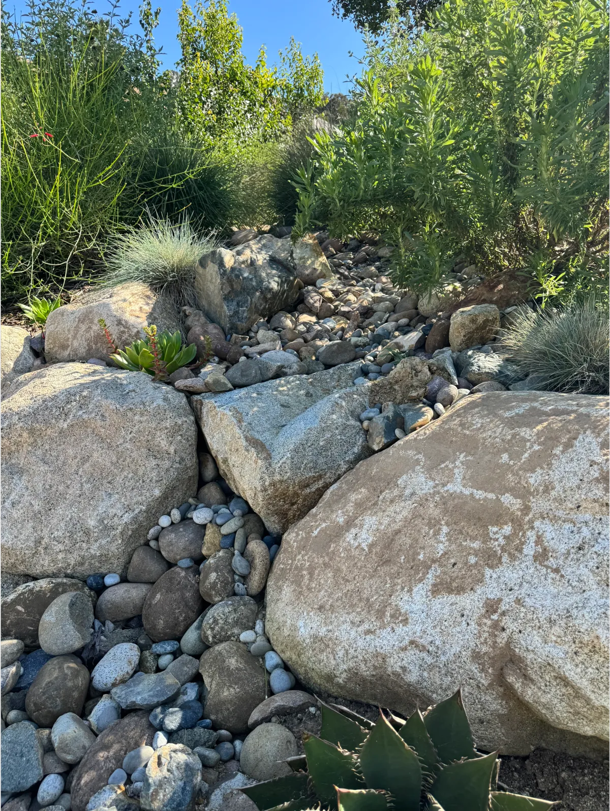Steep garden slope with stone terracing and established native shrubs.