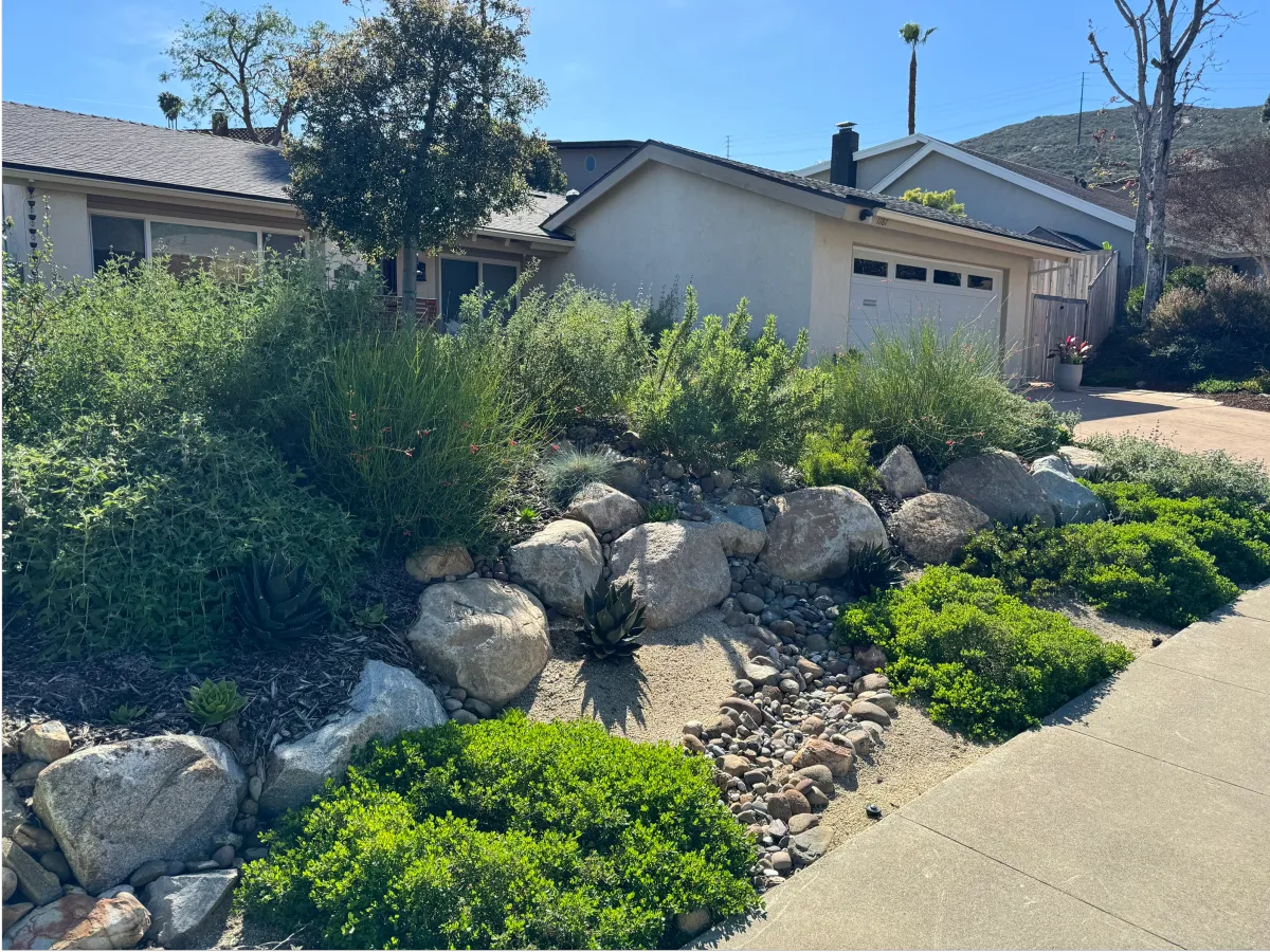 Front yard entry featuring boulders and native shrubs.