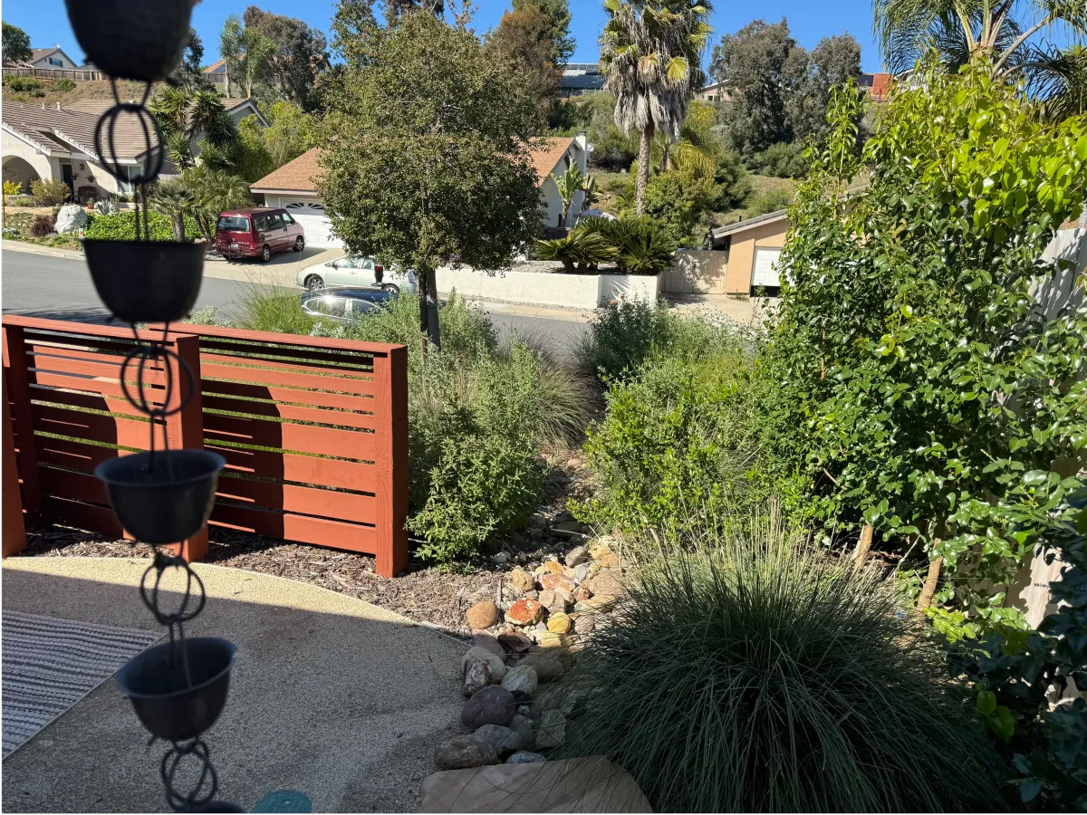 Front yard landscape featuring boulders, native shrubs, and no-mow groundcover.