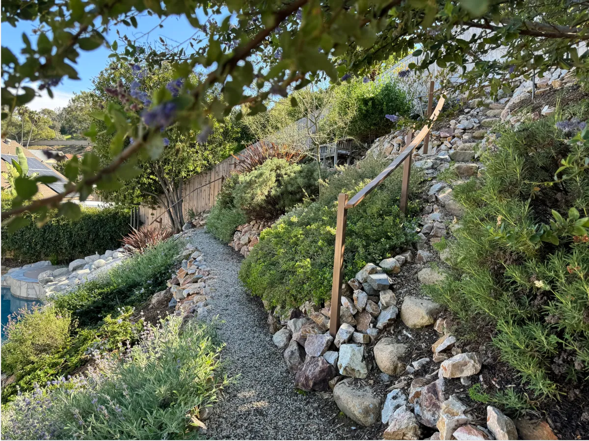 Winding tan gravel path through a lush native plant garden.