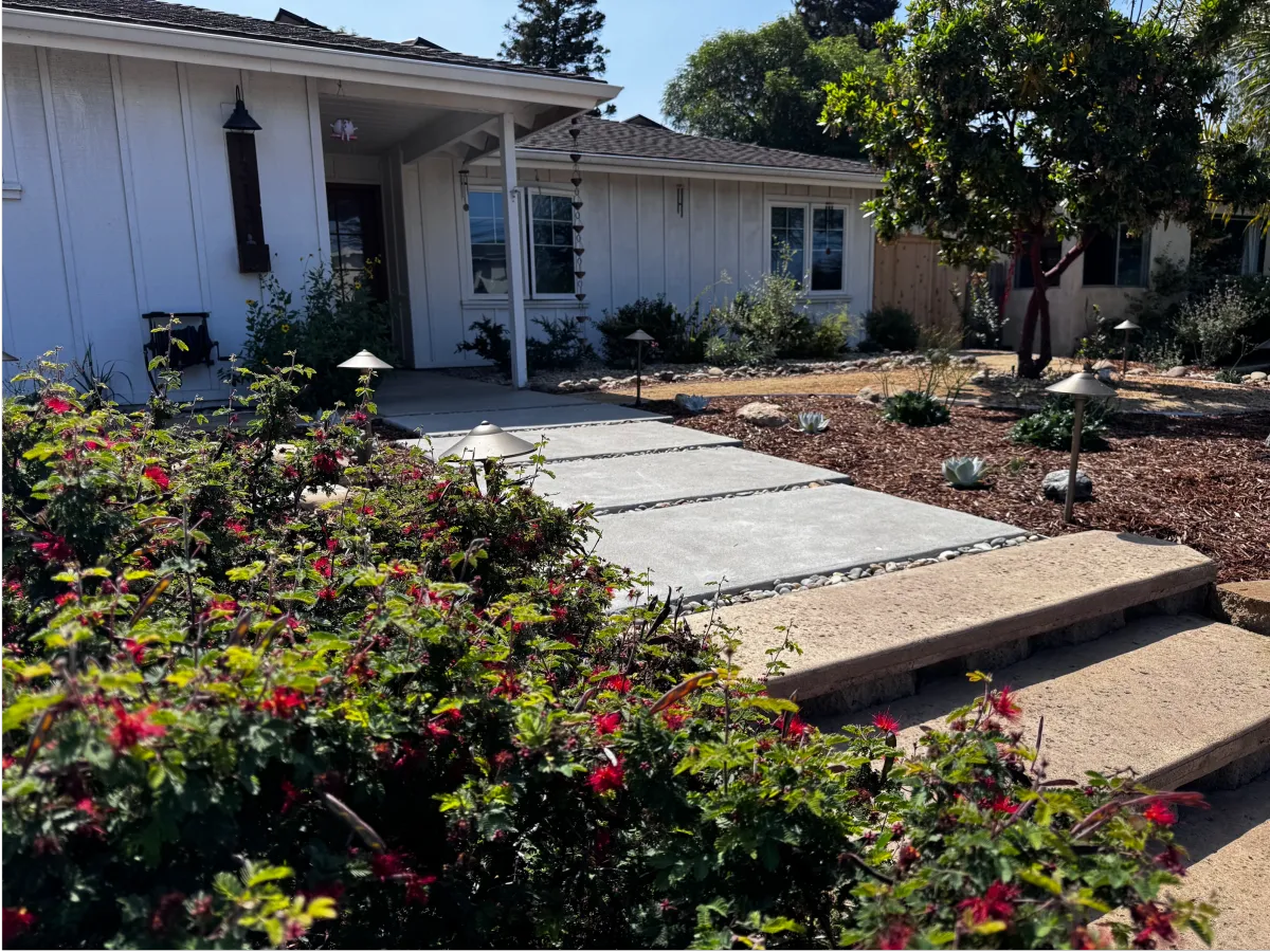 Modern concrete walkway leading to a home with native grass and succulent landscaping.