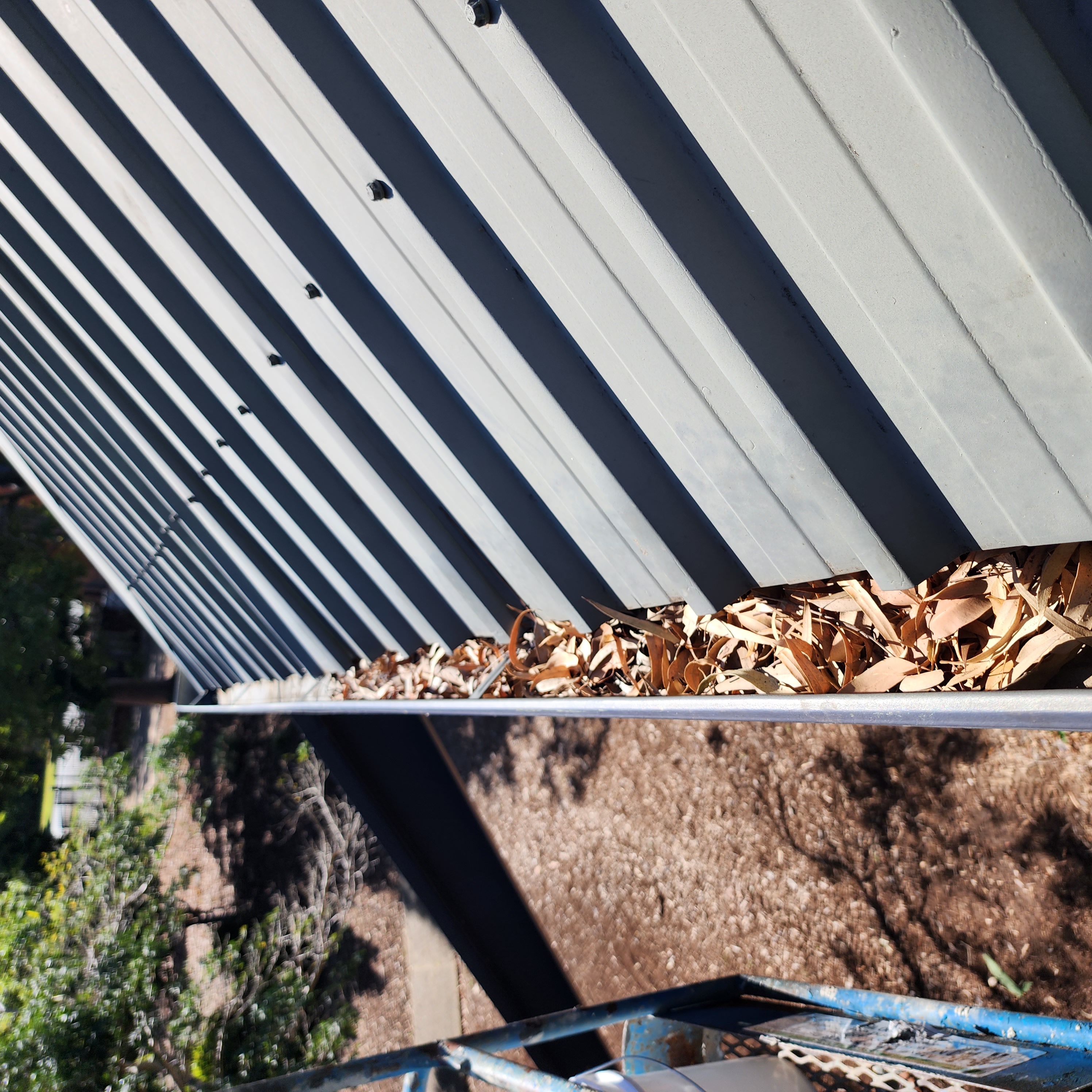 Gutter cleaner removing leaves from Queensland roof