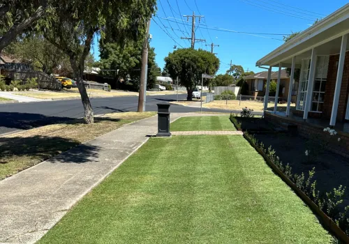 yard cleaning services ellenbrook