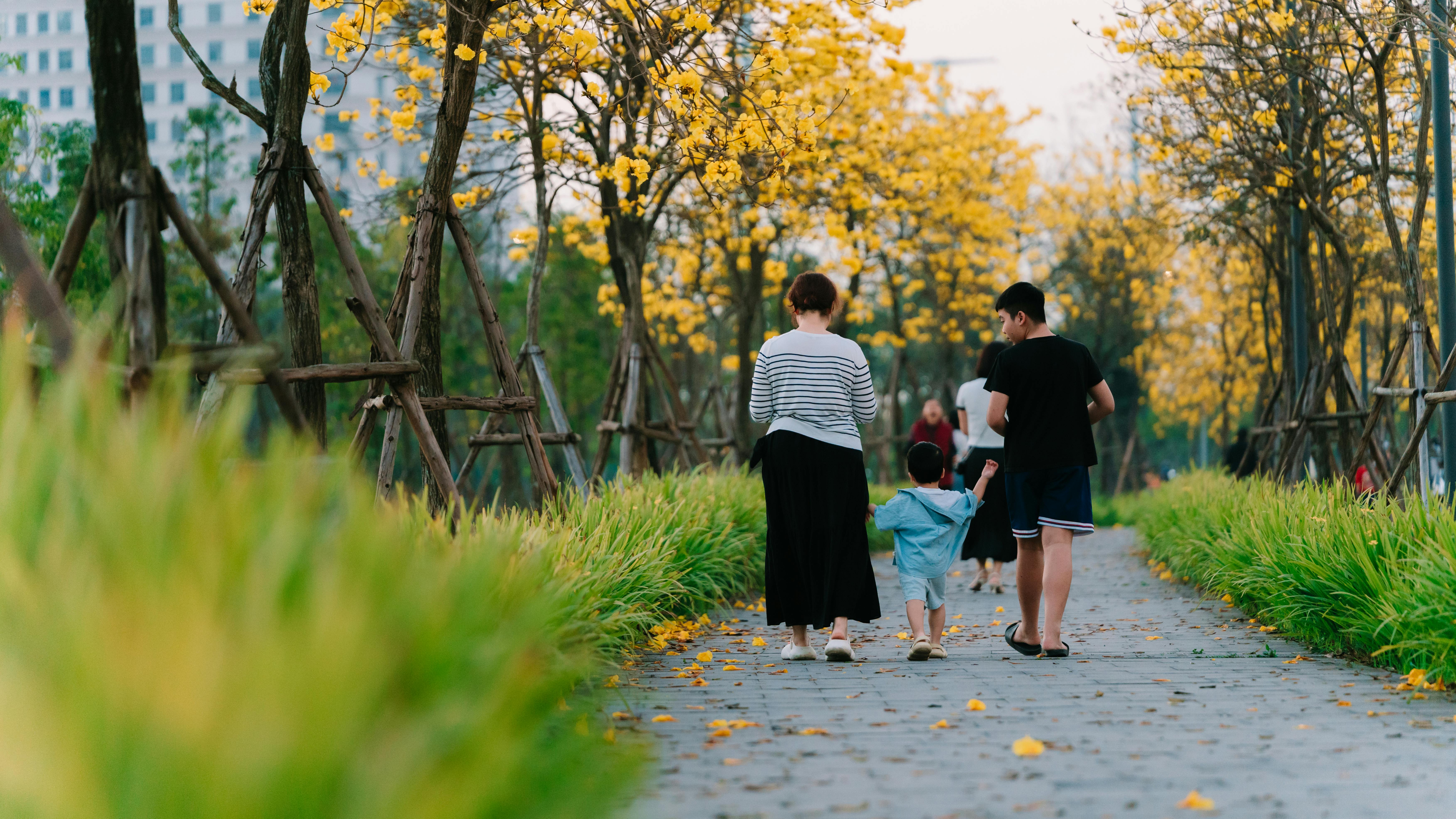 Is The Woodlands, TX a Good Place to Live for Families?