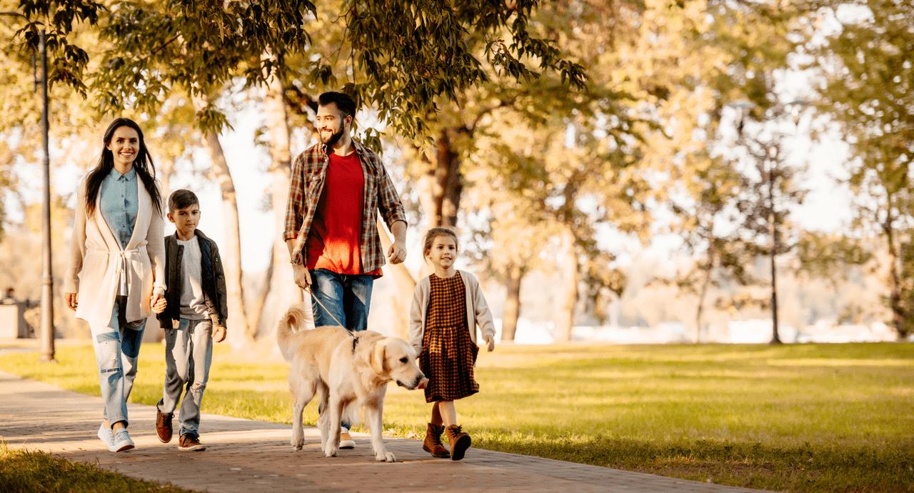 Living in Spring TX: Pros and Cons for Homebuyers
