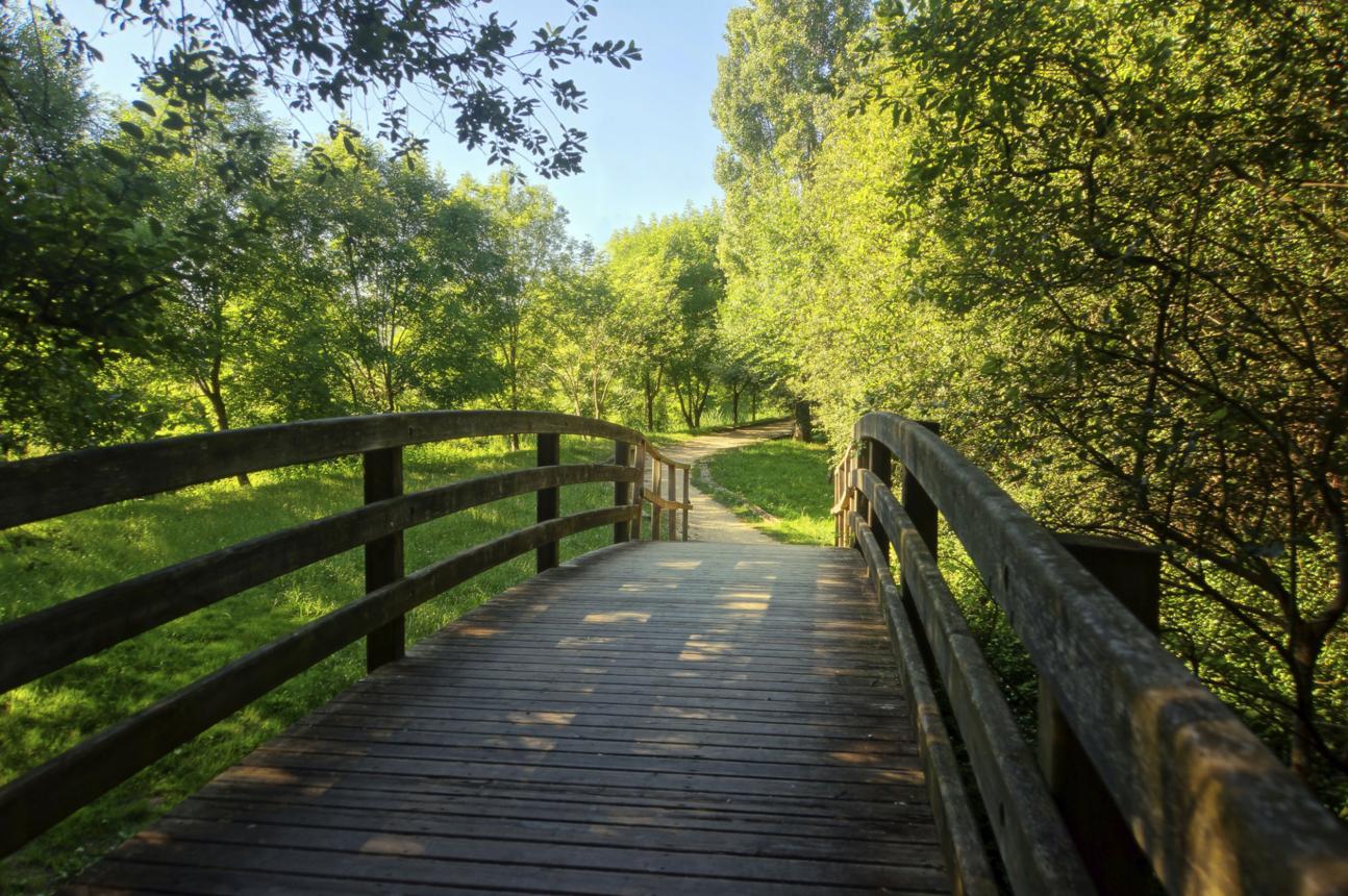 How Woodforest's Parks and Trails Add Value to Everyday Living (2026 Guide)