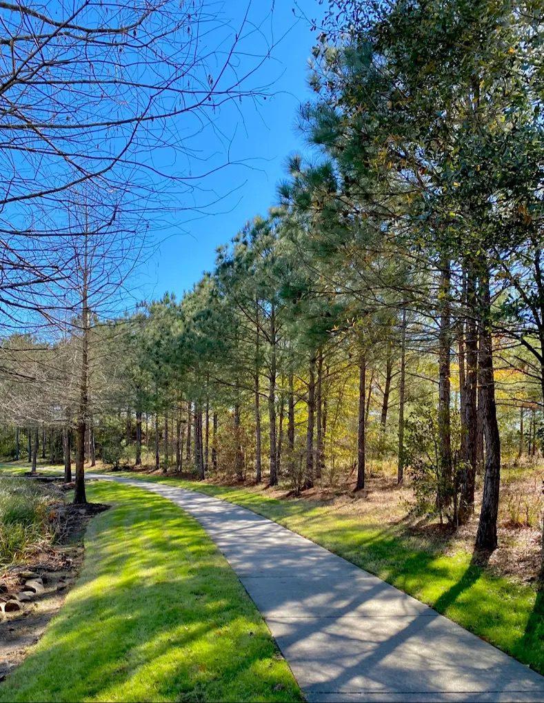 Why Homebuyers Love Homes Near The Woodlands Trail System (2026 Guide)