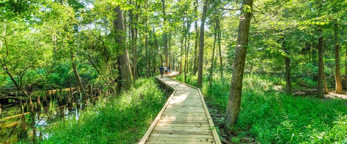 Exploring Parks and Nature Preserves Near Cypress, TX (2026 Guide)
