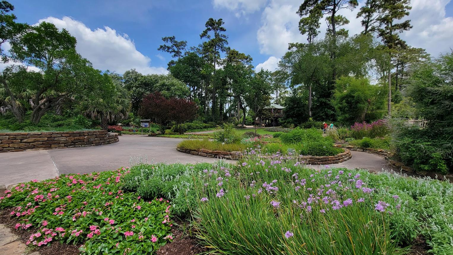 A Local Guide to Mercer Botanic Gardens in Spring, TX (2026 Guide)
