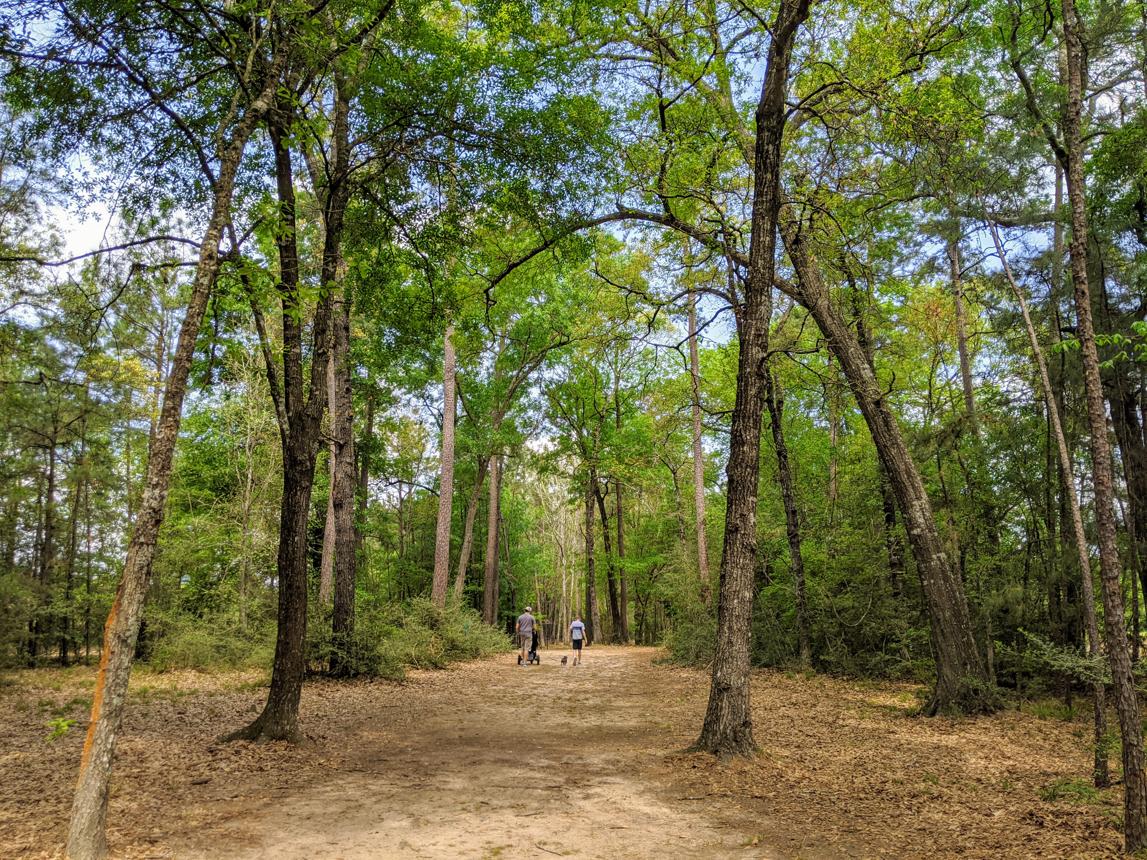 A Local Guide to George Mitchell Nature Preserve in The Woodlands (2026 Guide)