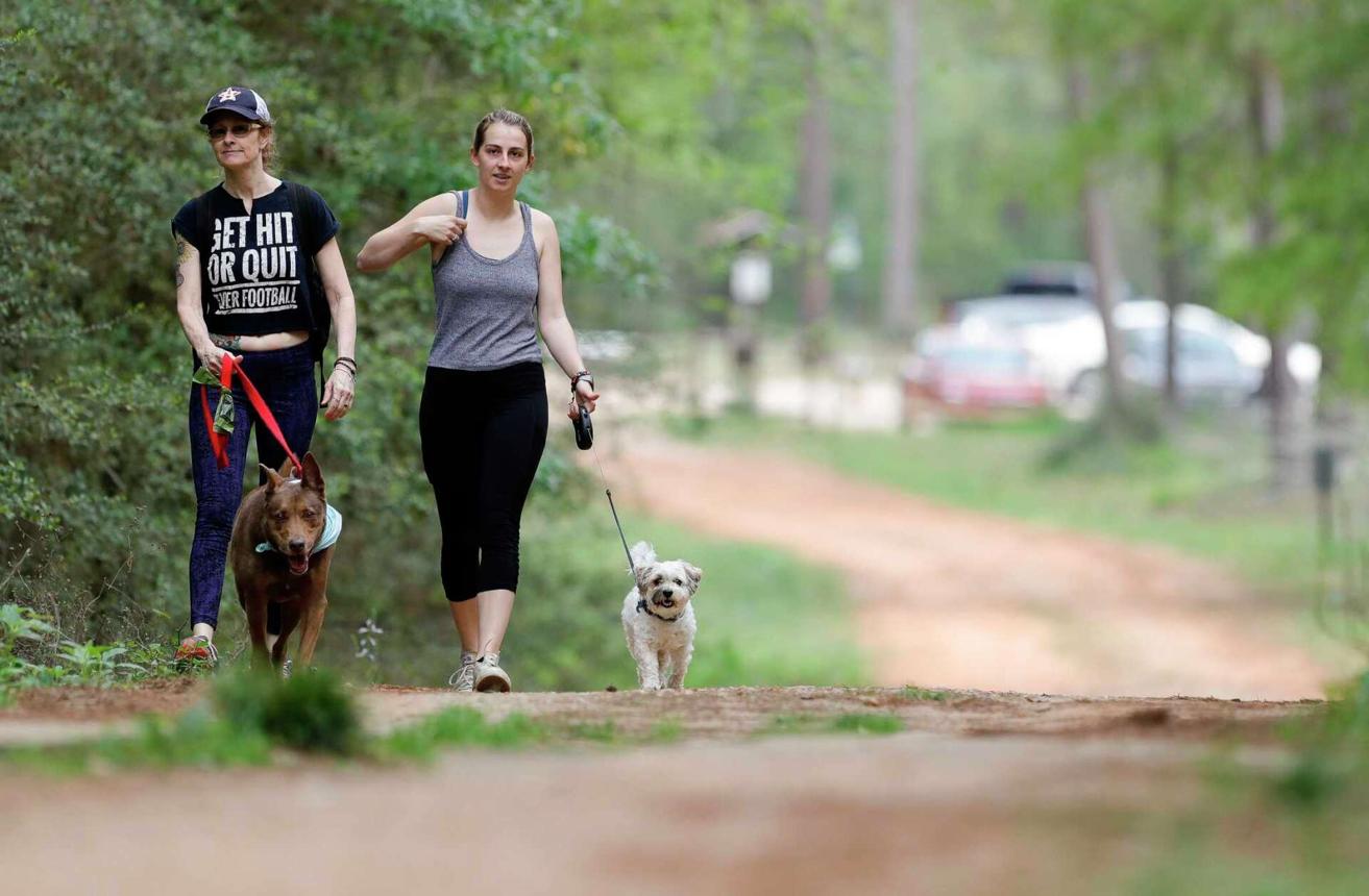 A Pet Owner's Guide to The Woodlands, TX (2026 Guide)