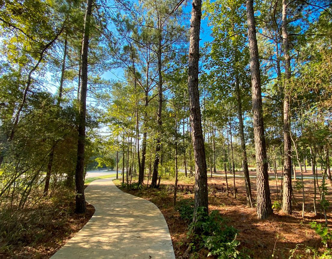 Free Things to Do in Woodforest, TX (2026 Guide)