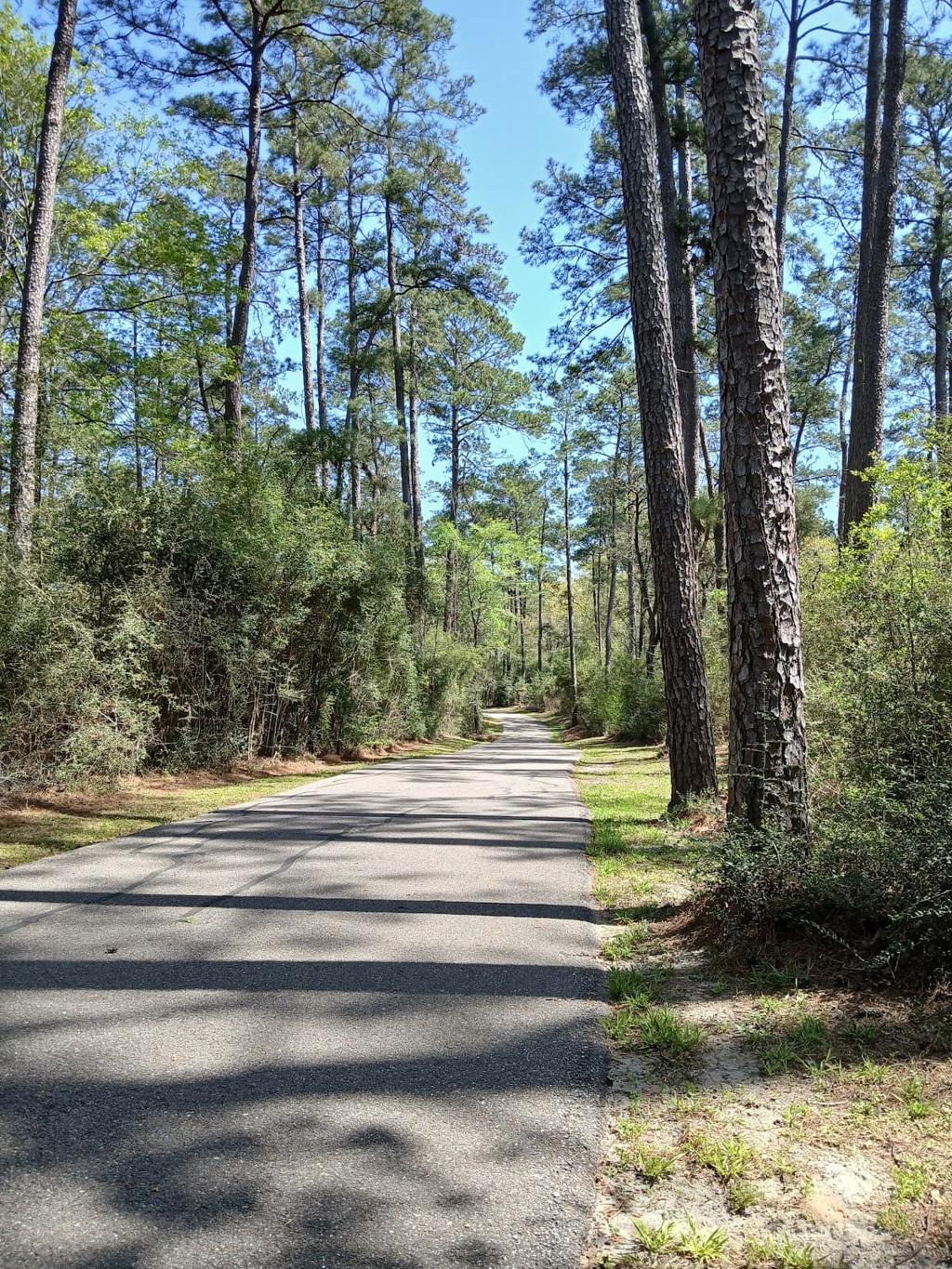 A Pet Owner's Guide to Spring, TX (2026 Guide)