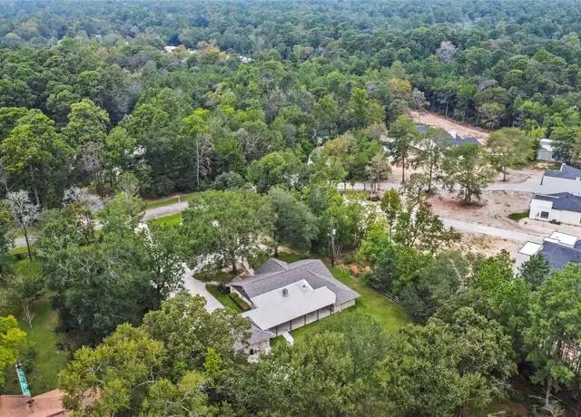 The Trees May Be One of Your Home’s Best Features—If Buyers See Them That Way
