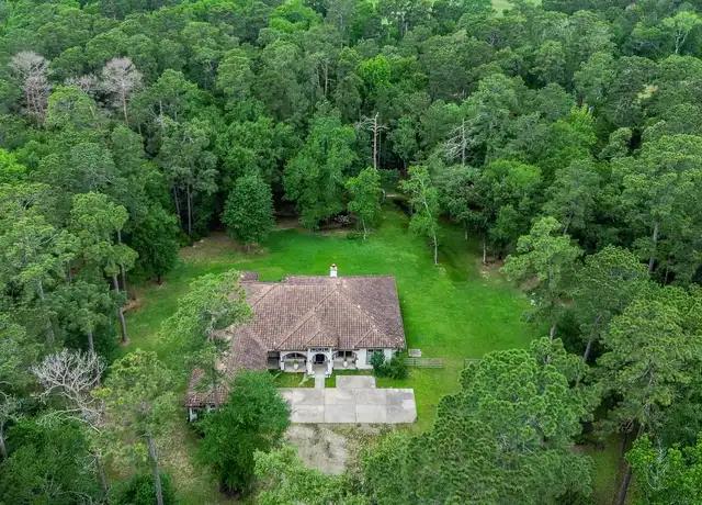 Your Woodlands Home Backs to Trees—But Can You Really Call It “Permanent Privacy”?
