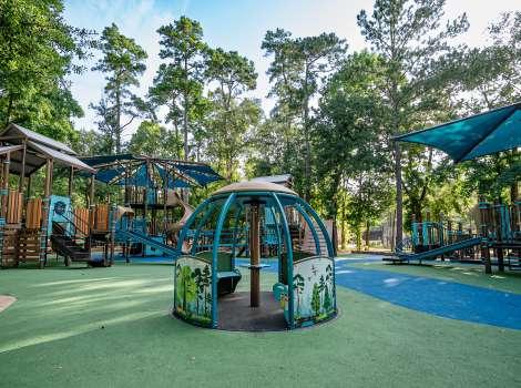 The Family Relocation Guide to The Woodlands: What You'll Wish You Knew Before Moving