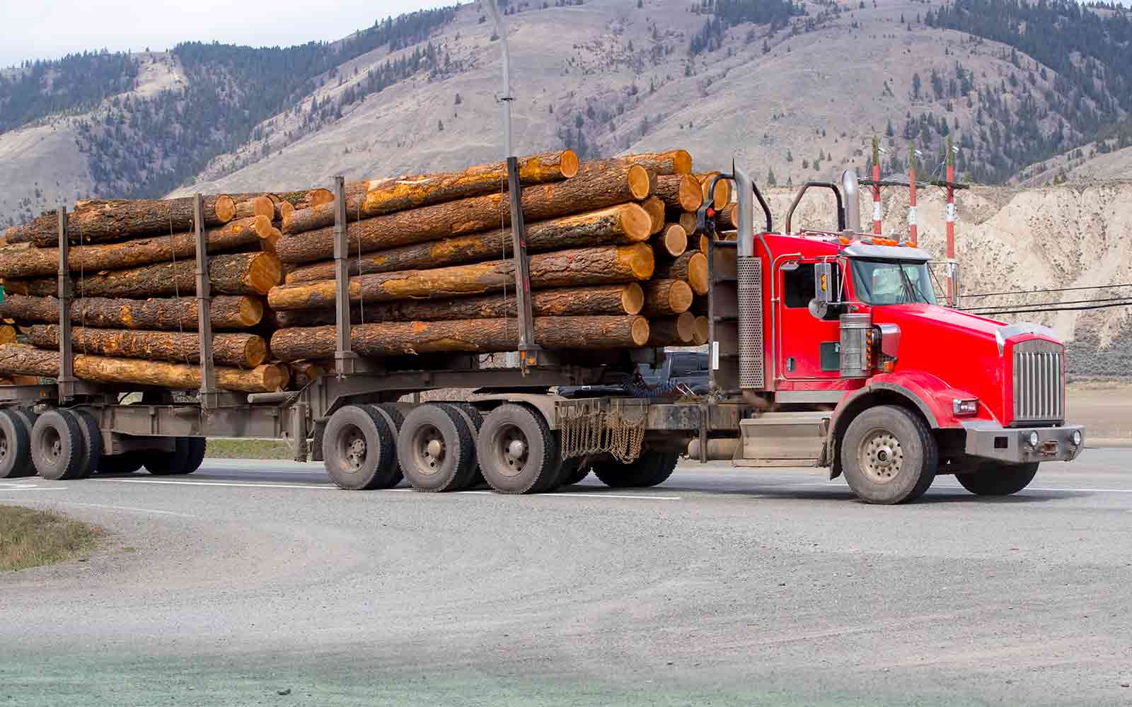 Logging trailer and vehicle with GPS location pin — FleetMatix asset tracking