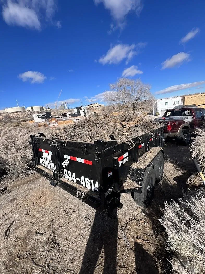 Brush clearing services