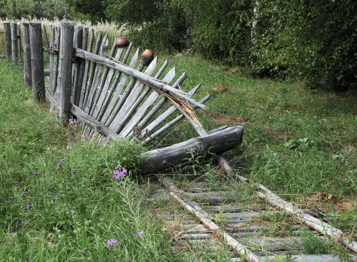 Yard Debris Pickup & Removal