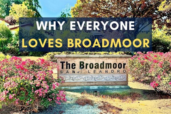 What Is the Broadmoor Neighborhood Like to Live In?