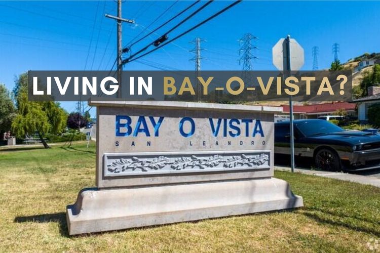 What Is Bay-O-Vista Like to Live In?