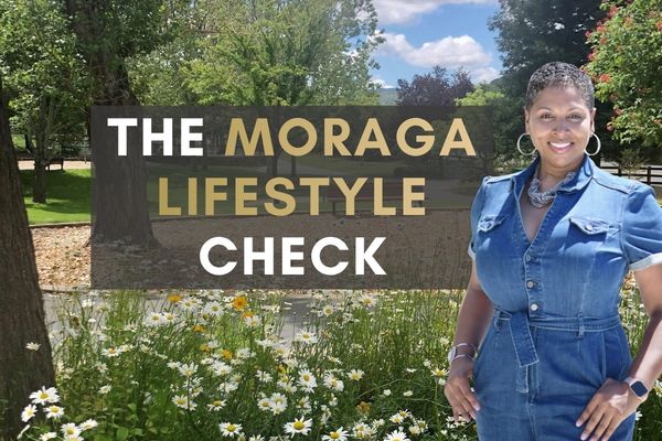 What It Is Like to Raise a Family in Moraga?
