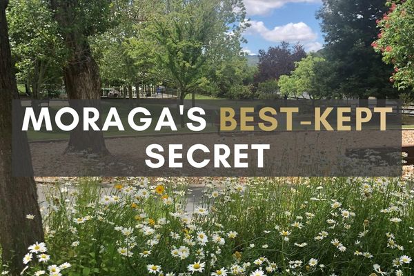 Moraga Commons: The Heart of the Community