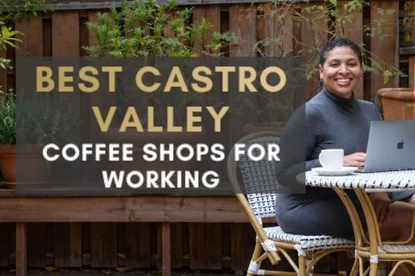 Best Coffee Shops in Castro Valley to Work From