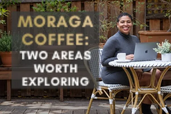 Best Coffee Shops in Moraga