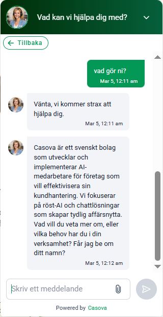 Beige cirkel med sidans titel Chattbot och undertexten Generera leads och förbättra kundservice