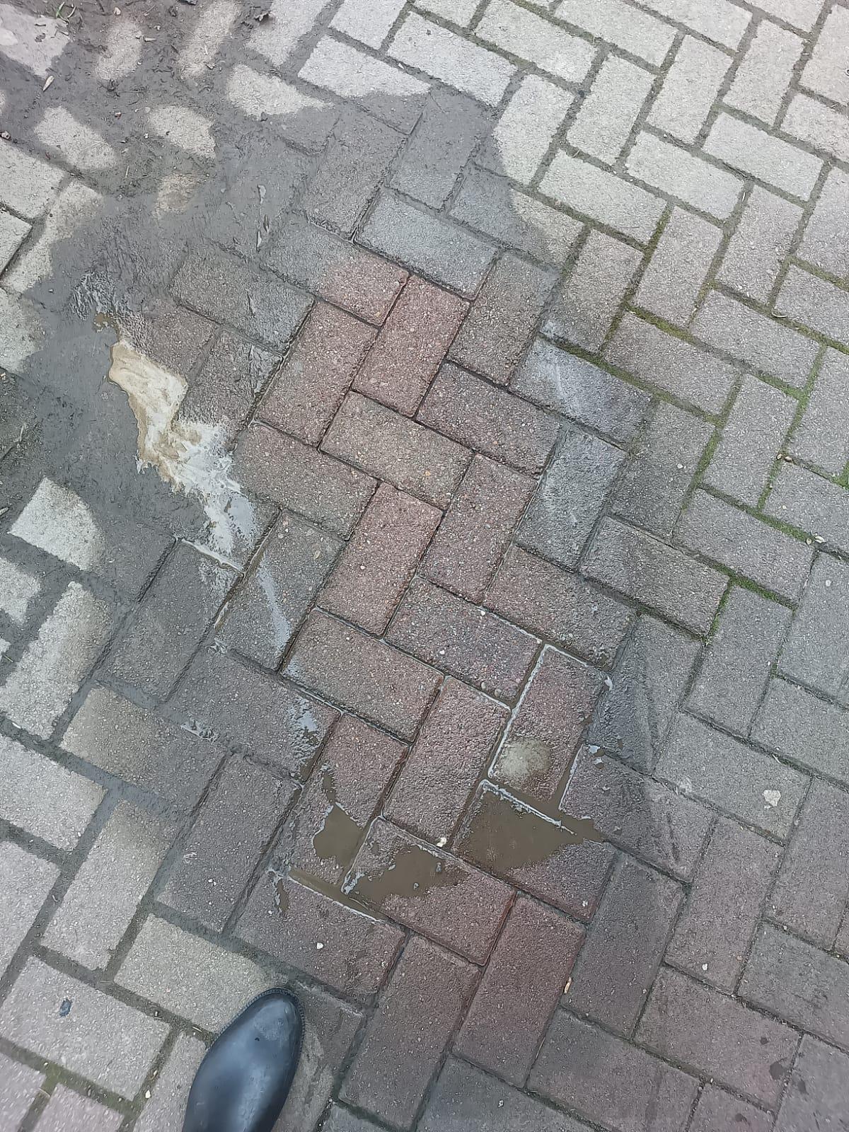 Pflastersteinboden - gereinigt